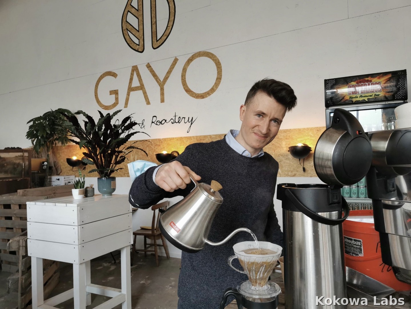 Hands holding green coffee beans